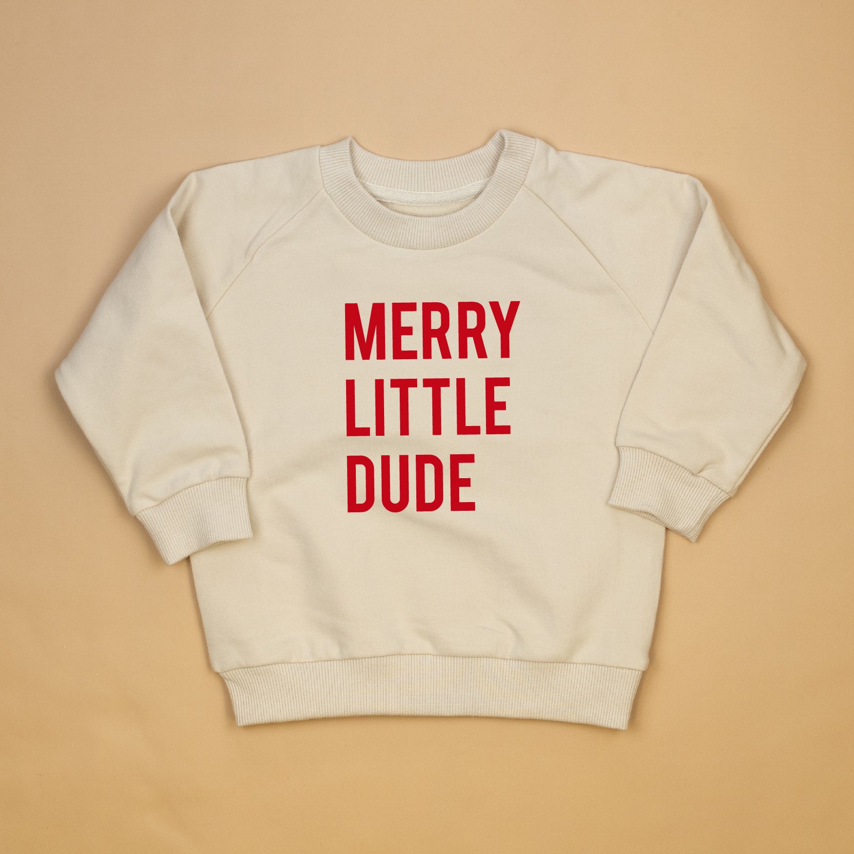 Cuddle Sleep Dream Merry Little Dude | Cream Terry Sweatshirt