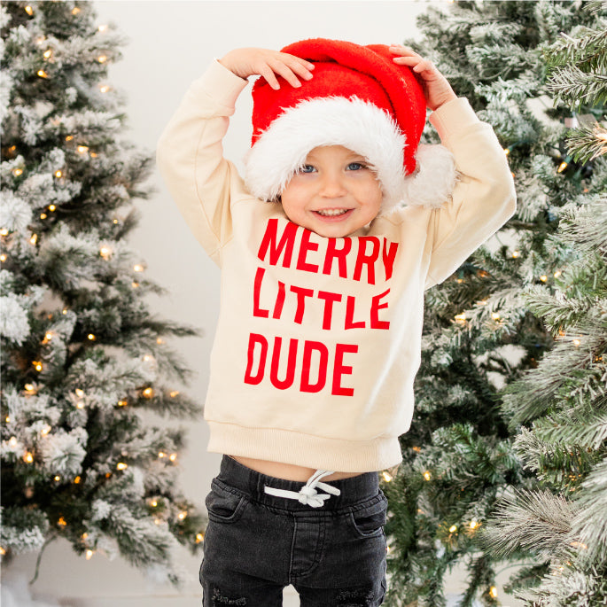 Christmas Cuddle Sleep Dream