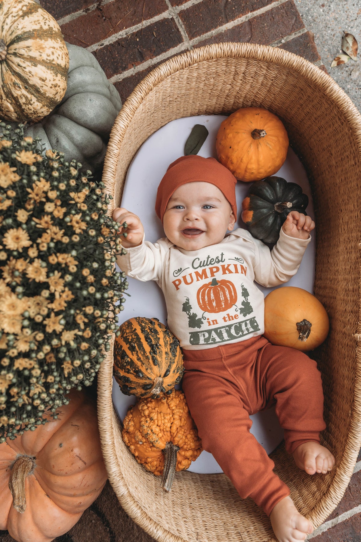 Cuddle Sleep Dream Cutest Pumpkin in the Patch Bundle | Natural