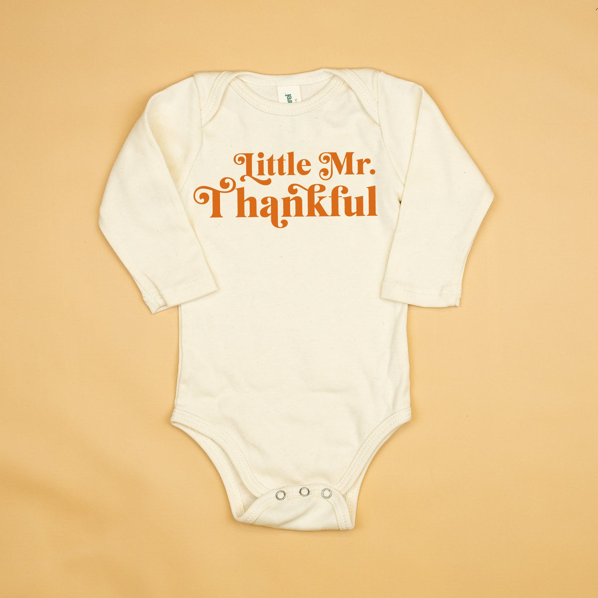 Cuddle Sleep Dream Little MR. Thankful