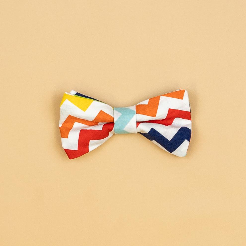 Cuddle Sleep Dream Ties Chevron Bow Rainbow Snap-On Tie