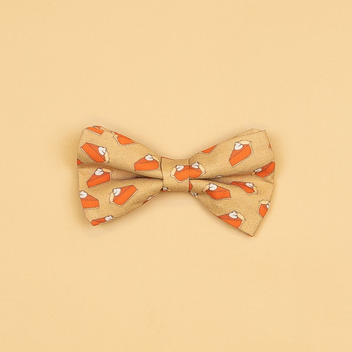 Cuddle Sleep Dream Ties Thanksgiving/Fall Snap-On Tie