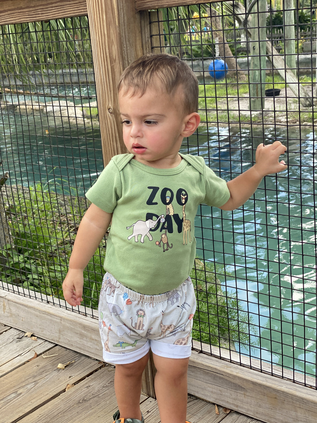 Cuddle Sleep Dream Zoo Day | Organic Bodysuit