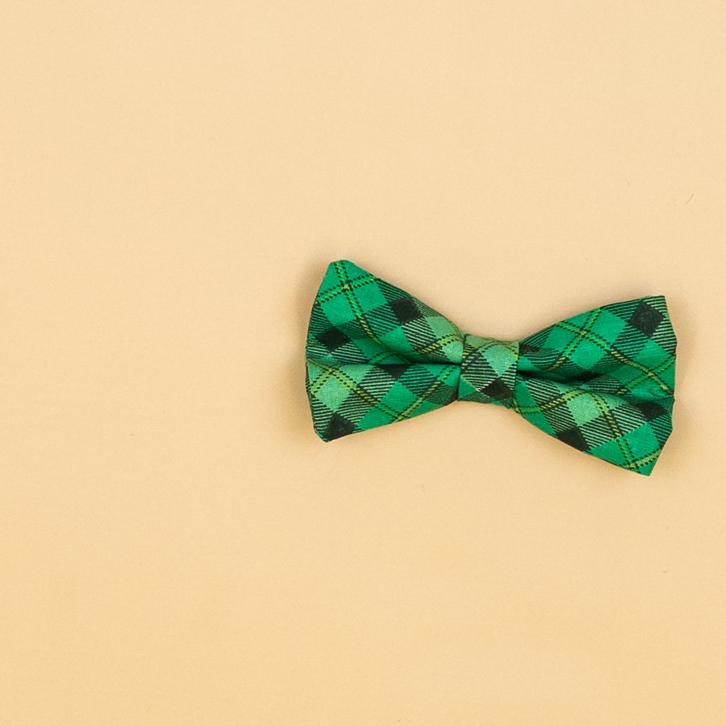 Cuddle Sleep Dream Ties SP Argyle Bow St Patricks Day Snap-On Tie